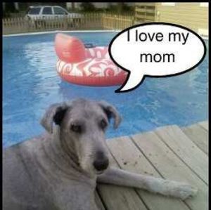 Meet your Posher, Krista